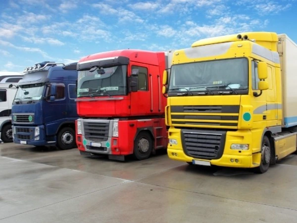 Antalya Palu Nakliye